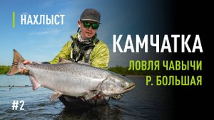 Ловля КРУПНОЙ ЧАВЫЧИ в середине июля на КАМЧАТКЕ. Поиск рыбы, проводка, мушки для чавычи.