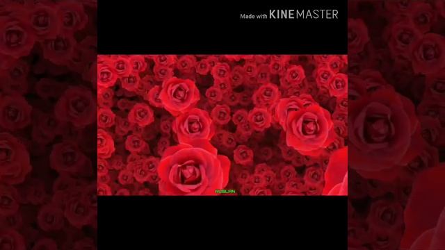 ОНАМНИ ДУО КИЛСАНГИЗ БУЛДИ... смотреть онлайн