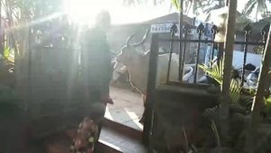 Sea Breeze Resort Candolim 3*Индия.Северный Гоа.Кандолим.