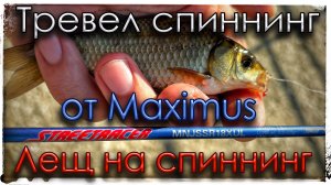 Тревел спиннинг от Maximus. Лещ на спиннинг. Мормышинг.