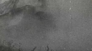 Дневники немецких солдат с восточного фронта