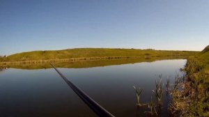 20 мая 2024. Поимка крупного карася вприглядку. Рыбалка на боковой кивок.