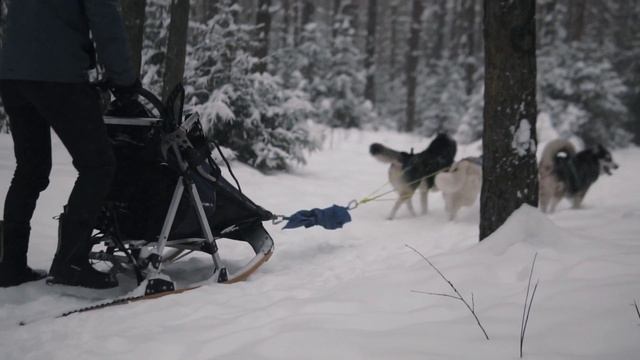 ДИВАННЫЙ ДЕСАНТ смотреть онлайн