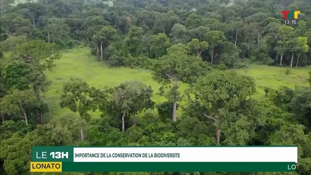 TVT JT 13H DU 30 MAI 2024 смотреть онлайн