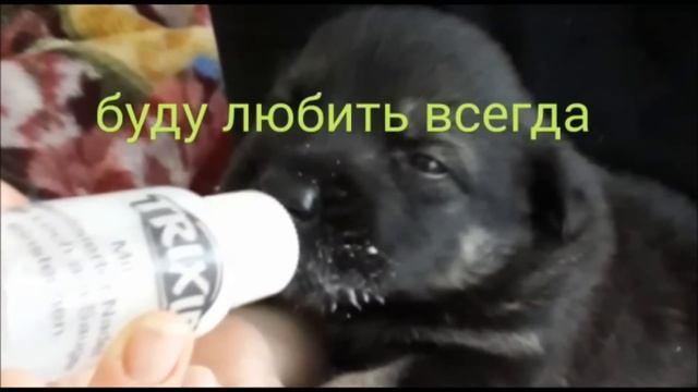 Радуйтесь и плачьте вместе с нами. смотреть онлайн