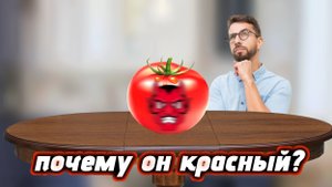 ПОЧЕМУ ПОМИДОР КРАСНЫЙ?
