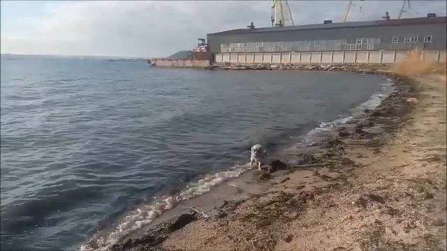 Не осень в нашей грусти виновата, а лишь в душе отсутствие весны. смотреть онлайн