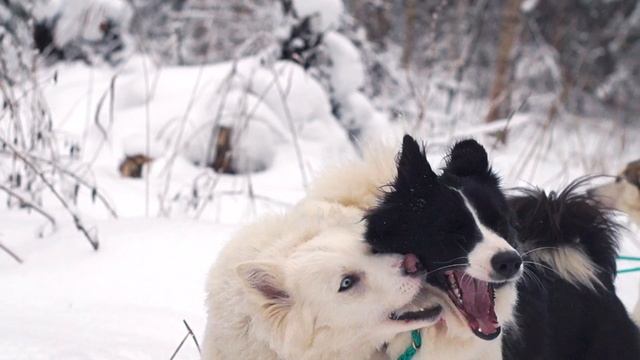 12.01.2017 тренировка на Касарке.
