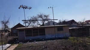 26.03.19. Голуби летят но не долго.