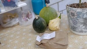 ️Неожиданное знакомство с  преданной ПОДПИСЧИЦЕЙ из Санкт-Петербурга.Классные подарки.