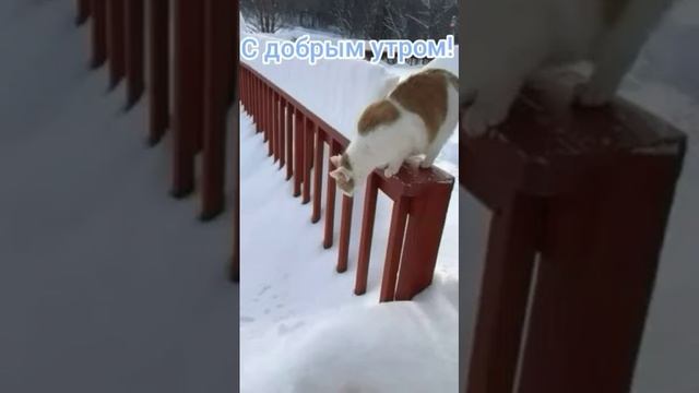 Такого снегопада давно не знали здешние места... смотреть онлайн