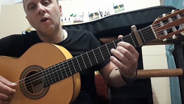 СЕМЕЧКИ.Аркадий Укупник.Разбор.Вступление.1 часть #урокигитары #разборпесен  #гитара