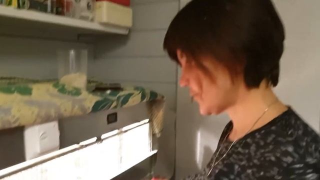 Трёхдневные бройлеры. Кормление и добавки. смотреть онлайн