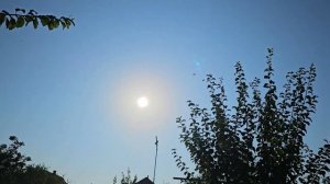 Парадокс 2 км а голуби уже другие