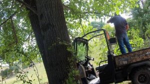 SAKER MINI ELECTRIC CHAIN SAW.  FIRST USE & REVIEW