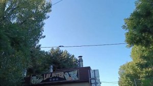 Белка бежит по проводам! The squirrel is running along the wires!