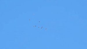 Утром просто залезть на крышу