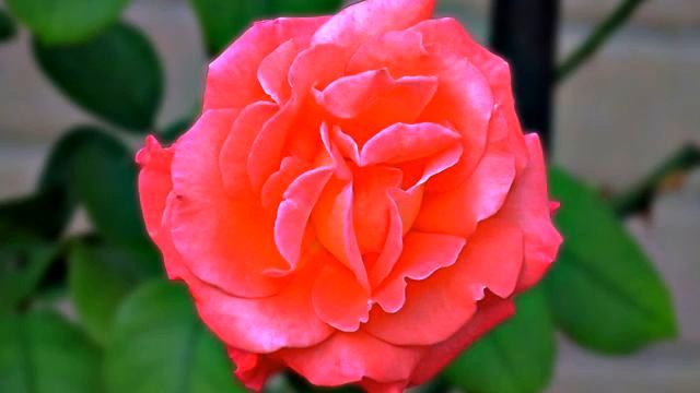 Самая лучшая русская песня и фото онлайн смотреть онлайн