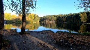 GoPro Walking in Magical Calm Autumn Forest | Осенний Лес, Урал, Россия | Urals, Russia