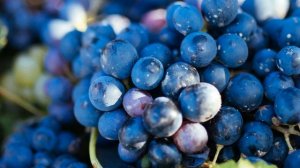 Джо Диспенза — 42 Привычка быть собой