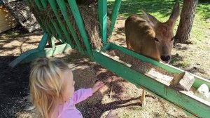 Кумысное. Сентябрь 2023