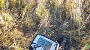 Копаем с металлоискателям Skycruiser S 31 Тест на глубину обнаружения.