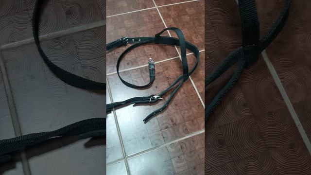 Уздечка-недоуздок для лошади СОВ с регулировкой размера. смотреть онлайн