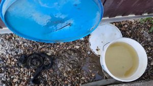 Работа механического фильтра из колготок 200 ден!