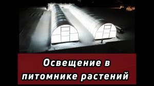 Как мы организовали освещение в теплице|НЕ досветка.