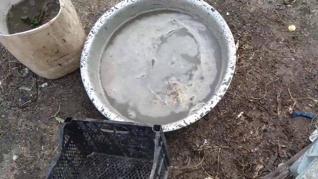 Лучше Итальянской фриго ! смотреть онлайн