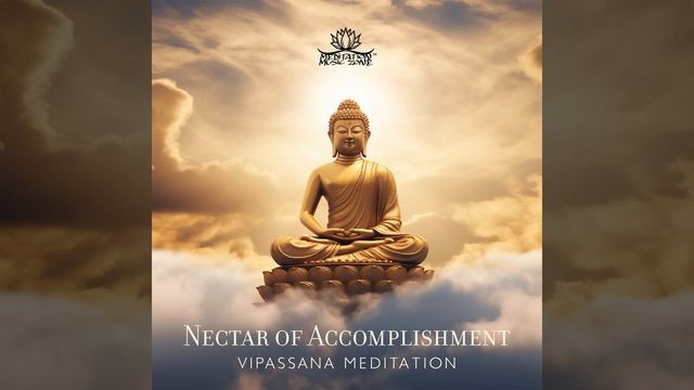 Vipassana Flow смотреть онлайн