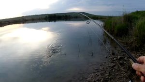 Рыбалка на щуку.Классные места,но тут уже не порыбачить😡