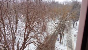 Лифт NLM 2023 года (ул.Чехова дом 83) (г.Чехов) 1-подъезд