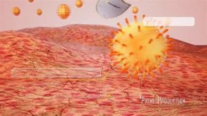 Реклама Панавир