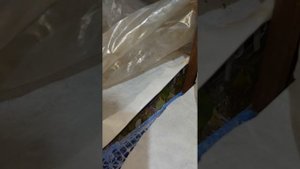 Как сохранить маленькие саженцы зимой?
