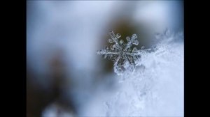 LARISSA TRI - СНЕГ КРУЖИТСЯ