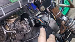 Ищем искру Stels Kapitan ,Sf150L,Dingo T-150