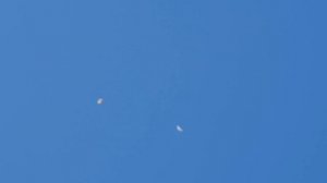 29.05.19. Поднял голубей в 6.00  Raised pigeons at 6.00