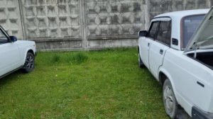Голуби Птичий рынок г Беслан