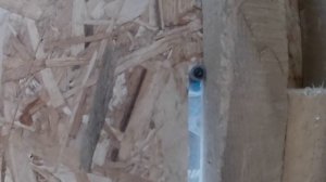 Строим бытовку и туалет для дачи. Цена в 2024. Опыт первой стройки.