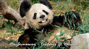 Неизвестность – Улыбнись (ft. Ноггано)