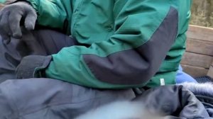 Май Кебраты