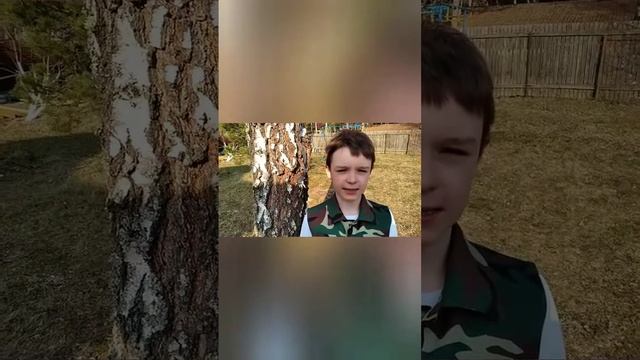 Стихотворение Андрея Дементьева  "В мае 1945 года" читает Солодовников Владимир,  3Л класс