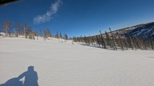 Приисковый 17 декабря 2024 гол