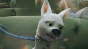 Вольт: Клип "Сторожевой"