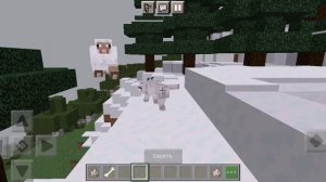 КАК СДЕЛАТЬ ЧТОБЫ ВАША СОБАКА ВАС ЗАЩИЩАЛА В МАЙНКРАФТЕ