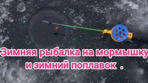 Зимняя рыбалка на зимний поплавок и мормышку . Рыбалка 2024 . Зимняя рыбалка 2024 - 2025 . Рыбак .