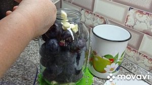 Слива Квашеная без Сахара с семенами горчицы Самая Вкусная! РЕЦЕПТ на Зиму.