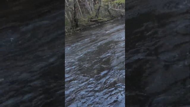 Леночек на закате, рыбалка в тайге