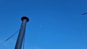 Городская голубятня Армана